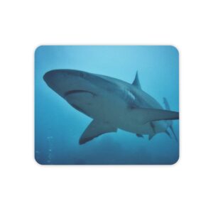 Large Shark Mouse Pad (3mm Thick)